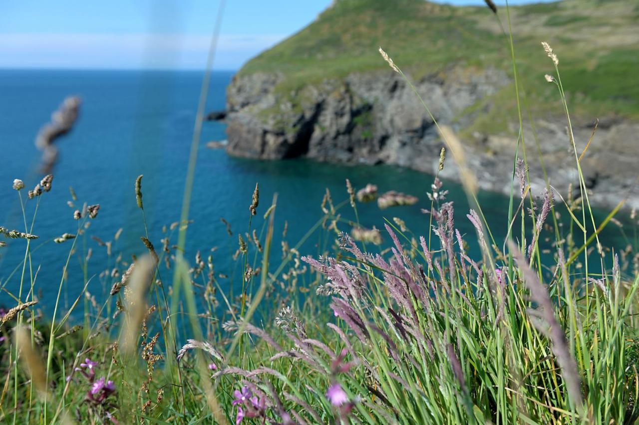 Tranquil Cornish Retreat Close To Port Isaac Beaches And Moor Bodmin Kültér fotó