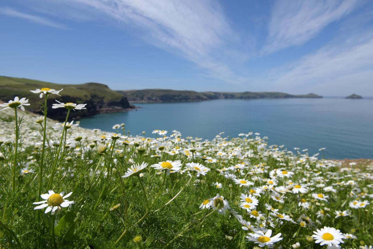 Tranquil Cornish Retreat Close To Port Isaac Beaches And Moor Bodmin Kültér fotó