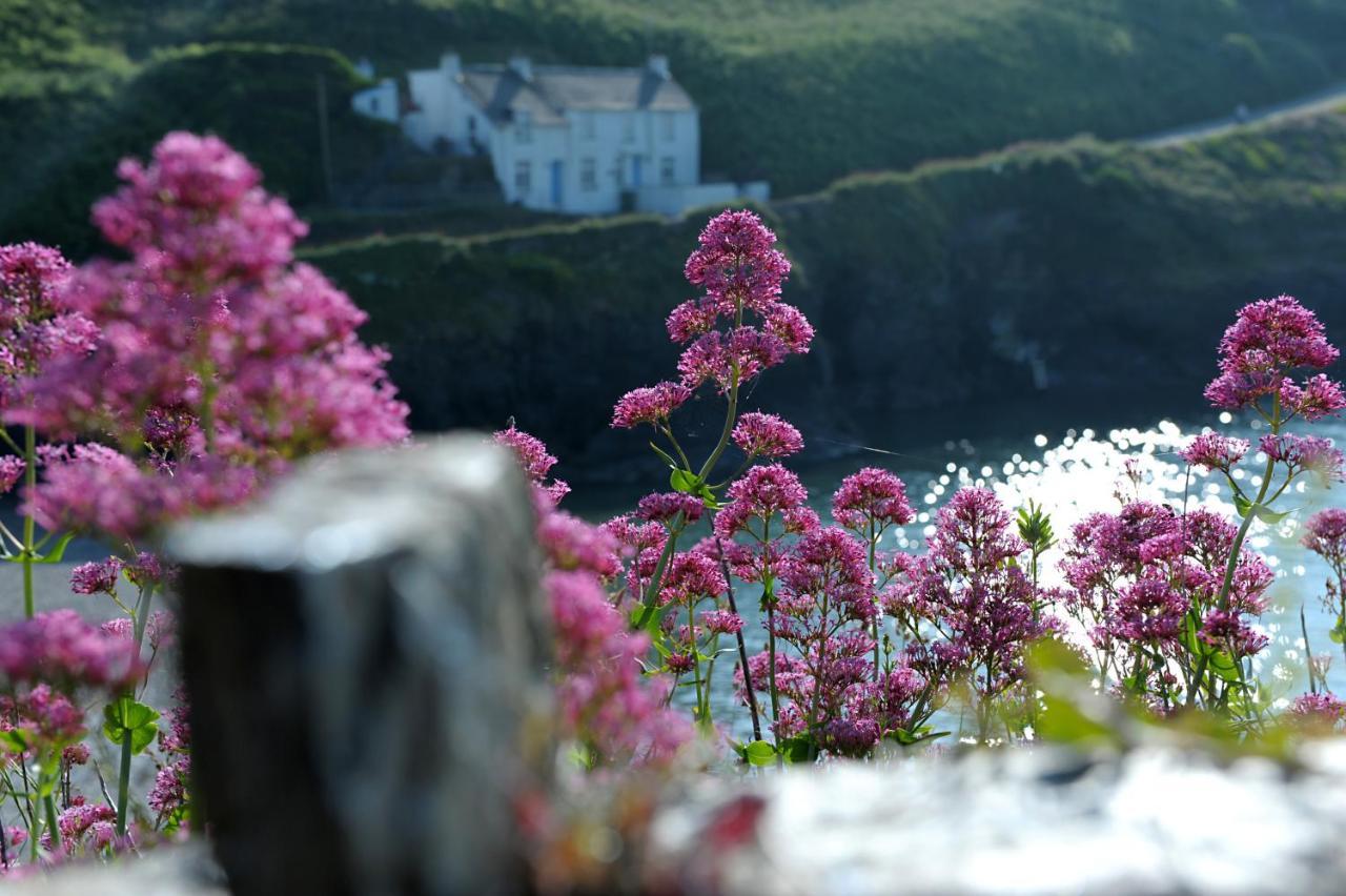 Tranquil Cornish Retreat Close To Port Isaac Beaches And Moor Bodmin Kültér fotó