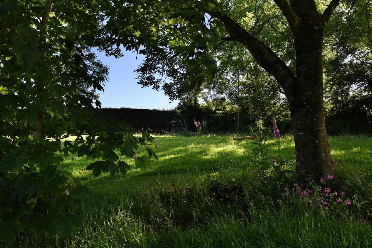 Tranquil Cornish Retreat Close To Port Isaac Beaches And Moor Bodmin Kültér fotó